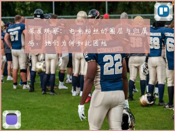 深度观察：电竞粉丝的圈层与归属感，她们为何如此团结